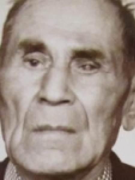 Вновь пришедшие