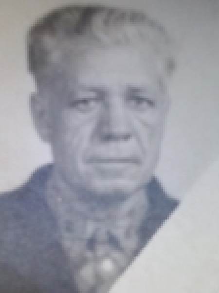 Вновь пришедшие