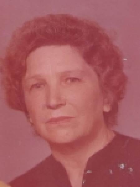 Вновь пришедшие