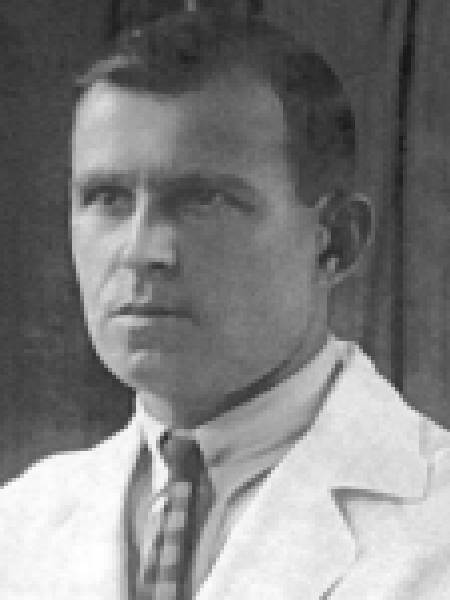 Вновь пришедшие