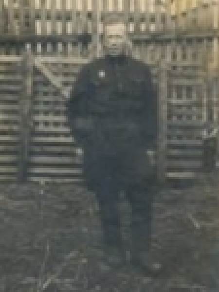 Вновь пришедшие