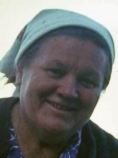 Вновь пришедшие